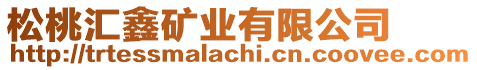 松桃匯鑫礦業(yè)有限公司