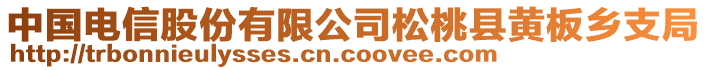 中國電信股份有限公司松桃縣黃板鄉(xiāng)支局