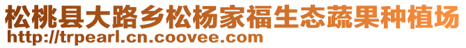 松桃縣大路鄉(xiāng)松楊家福生態(tài)蔬果種植場