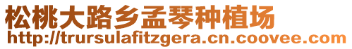 松桃大路鄉(xiāng)孟琴種植場(chǎng)