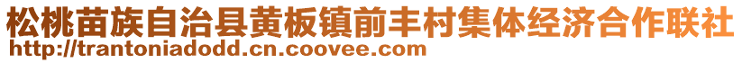 松桃苗族自治縣黃板鎮(zhèn)前豐村集體經(jīng)濟(jì)合作聯(lián)社