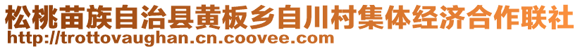 松桃苗族自治縣黃板鄉(xiāng)自川村集體經(jīng)濟合作聯(lián)社