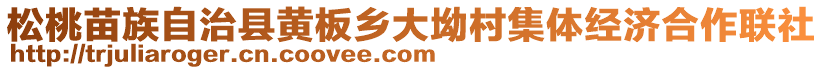 松桃苗族自治縣黃板鄉(xiāng)大坳村集體經(jīng)濟(jì)合作聯(lián)社