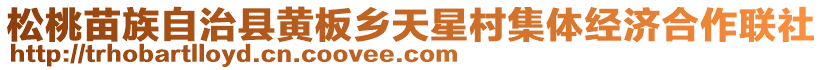 松桃苗族自治縣黃板鄉(xiāng)天星村集體經(jīng)濟(jì)合作聯(lián)社