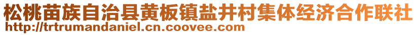 松桃苗族自治縣黃板鎮(zhèn)鹽井村集體經(jīng)濟合作聯(lián)社