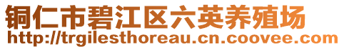 銅仁市碧江區(qū)六英養(yǎng)殖場(chǎng)