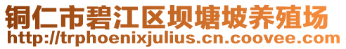 銅仁市碧江區(qū)壩塘坡養(yǎng)殖場