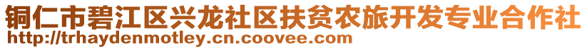 銅仁市碧江區(qū)興龍社區(qū)扶貧農(nóng)旅開發(fā)專業(yè)合作社