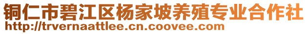 銅仁市碧江區(qū)楊家坡養(yǎng)殖專業(yè)合作社