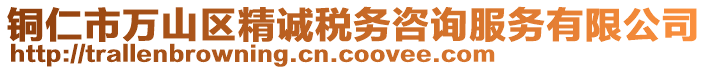 铜仁市万山区精诚税务咨询服务有限公司