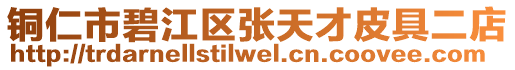 銅仁市碧江區(qū)張?zhí)觳牌ぞ叨? style=