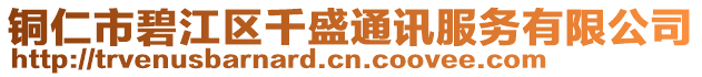 銅仁市碧江區(qū)千盛通訊服務(wù)有限公司