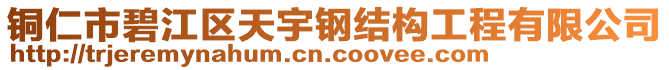 銅仁市碧江區(qū)天宇鋼結(jié)構(gòu)工程有限公司