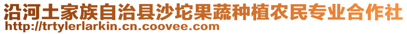 沿河土家族自治縣沙坨果蔬種植農(nóng)民專業(yè)合作社