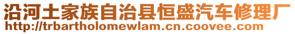 沿河土家族自治縣恒盛汽車修理廠