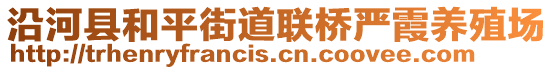 沿河县和平街道联桥严霞养殖场