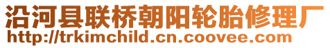 沿河縣聯(lián)橋朝陽(yáng)輪胎修理廠