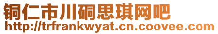 銅仁市川硐思琪網吧