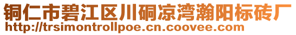 銅仁市碧江區(qū)川硐涼灣瀚陽標磚廠