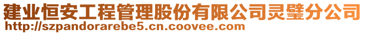 建業(yè)恒安工程管理股份有限公司靈璧分公司