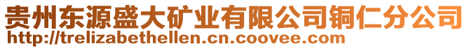 貴州東源盛大礦業(yè)有限公司銅仁分公司