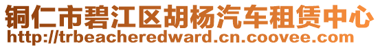 銅仁市碧江區(qū)胡楊汽車租賃中心