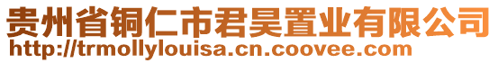 貴州省銅仁市君昊置業(yè)有限公司