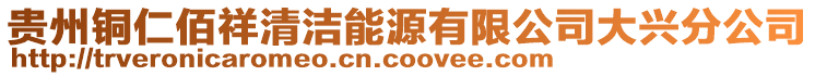 貴州銅仁佰祥清潔能源有限公司大興分公司