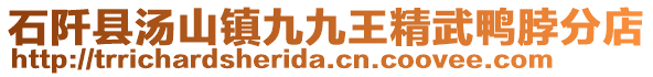 石阡縣湯山鎮(zhèn)九九王精武鴨脖分店