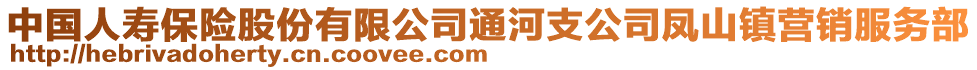 中国人寿保险股份有限公司通河支公司凤山镇营销服务部