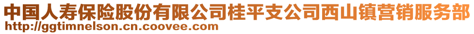 中国人寿保险股份有限公司桂平支公司西山镇营销服务部