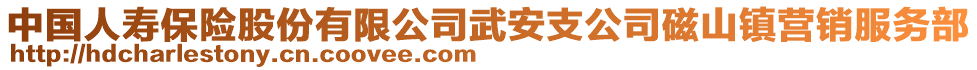 中國人壽保險股份有限公司武安支公司磁山鎮(zhèn)營銷服務部