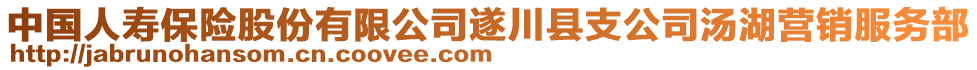 中国人寿保险股份有限公司遂川县支公司汤湖营销服务部