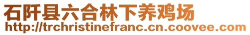 石阡縣六合林下養(yǎng)雞場