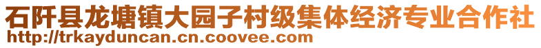 石阡縣龍?zhí)伶?zhèn)大園子村級集體經(jīng)濟專業(yè)合作社