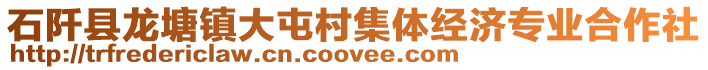 石阡縣龍?zhí)伶?zhèn)大屯村集體經(jīng)濟(jì)專業(yè)合作社