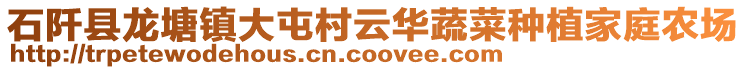 石阡縣龍?zhí)伶?zhèn)大屯村云華蔬菜種植家庭農(nóng)場