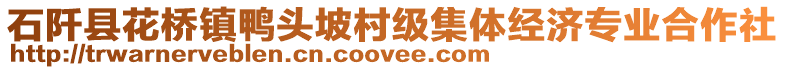 石阡縣花橋鎮(zhèn)鴨頭坡村級(jí)集體經(jīng)濟(jì)專業(yè)合作社