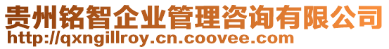 貴州銘智企業(yè)管理咨詢有限公司