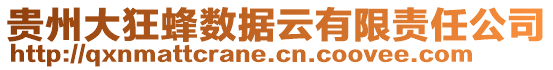貴州大狂蜂數(shù)據(jù)云有限責任公司