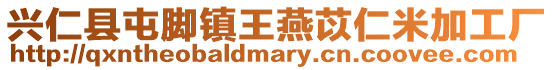 興仁縣屯腳鎮王燕苡仁米加工廠