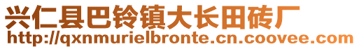 兴仁县巴铃镇大长田砖厂