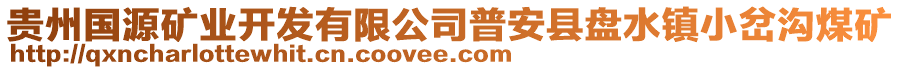 貴州國源礦業(yè)開發(fā)有限公司普安縣盤水鎮(zhèn)小岔溝煤礦