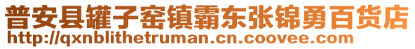 普安县罐子窑镇霸东张锦勇百货店