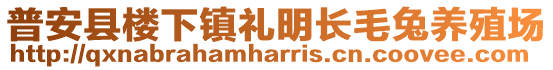 普安縣樓下鎮(zhèn)禮明長毛兔養(yǎng)殖場