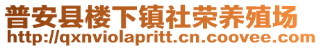 普安县楼下镇社荣养殖场