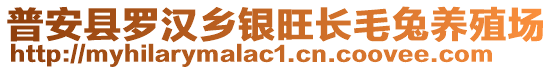 普安县罗汉乡银旺长毛兔养殖场