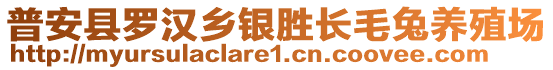 普安縣羅漢鄉(xiāng)銀勝長毛兔養(yǎng)殖場