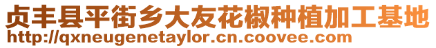 貞豐縣平街鄉(xiāng)大友花椒種植加工基地