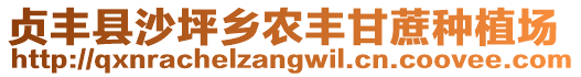 貞豐縣沙坪鄉(xiāng)農(nóng)豐甘蔗種植場(chǎng)